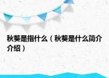 秋葵是指什么（秋葵是什么简介介绍）