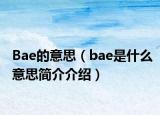 Bae的意思（bae是什么意思简介介绍）