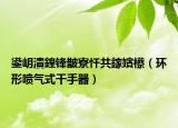 鍙岄潰鍠锋皵寮忓共鎵嬪櫒（环形喷气式干手器）