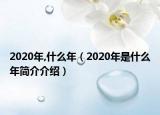 2020年,什么年（2020年是什么年简介介绍）