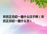 农历正月初一是什么日子啊（农历正月初一是什么节）