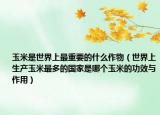 玉米是世界上最重要的什么作物（世界上生产玉米最多的国家是哪个玉米的功效与作用）