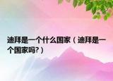 迪拜是一个什么国家（迪拜是一个国家吗?）