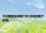 今日更新龙骨哪个好(龙骨放客厅好吗)