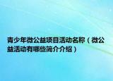 青少年微公益项目活动名称（微公益活动有哪些简介介绍）