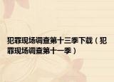 犯罪现场调查第十三季下载（犯罪现场调查第十一季）