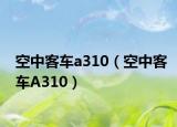 空中客车a310（空中客车A310）