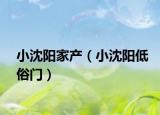 小沈阳家产（小沈阳低俗门）