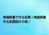 电视棒是个什么东西（电视棒是什么东西简介介绍）
