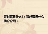 蔓越莓是什么?（蔓越莓是什么简介介绍）