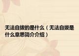 无法自拔的是什么（无法自拔是什么意思简介介绍）