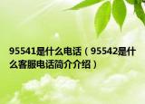 95541是什么电话（95542是什么客服电话简介介绍）