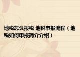 地税怎么报税 地税申报流程（地税如何申报简介介绍）