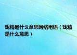 戏精是什么意思网络用语（戏精是什么意思）