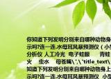 你知道下列发明分别来自哪种动物身上的启示吗?连一连.水母耳风暴预测仪（小型气体分析仪 人工冷光  电子蛙眼      青蛙      萤火    虫水    母苍蝇