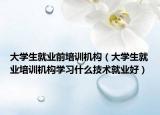 大学生就业前培训机构（大学生就业培训机构学习什么技术就业好）