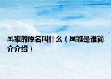 凤雏的原名叫什么（凤雏是谁简介介绍）