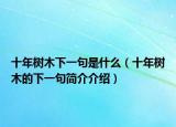 十年树木下一句是什么（十年树木的下一句简介介绍）