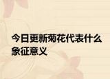 今日更新菊花代表什么象征意义