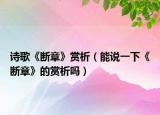诗歌《断章》赏析（能说一下《断章》的赏析吗）