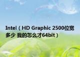 Intel（HD Graphic 2500位宽多少 我的怎么才64bit）