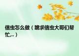 信虫怎么做（跪求信虫大哥们帮忙,..）