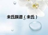 未氏族谱（未氏）