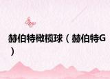 赫伯特橄榄球（赫伯特G）