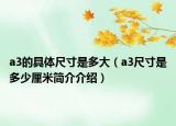a3的具体尺寸是多大（a3尺寸是多少厘米简介介绍）