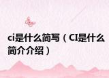 ci是什么简写（CI是什么简介介绍）