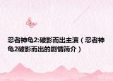 忍者神龟2:破影而出主演（忍者神龟2破影而出的剧情简介）