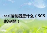 scsi控制器是什么（SCSI控制器）