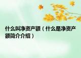 什么叫净资产额（什么是净资产额简介介绍）