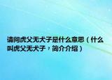 请问虎父无犬子是什么意思（什么叫虎父无犬子﹖简介介绍）