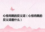 心惊肉跳的反义词（心惊肉跳的反义词是什么）