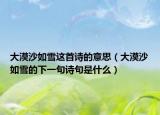 大漠沙如雪这首诗的意思（大漠沙如雪的下一句诗句是什么）