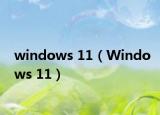 windows 11（Windows 11）