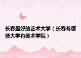 长春最好的艺术大学（长春有哪些大学有美术学院）