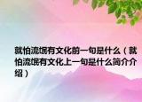 就怕流氓有文化前一句是什么（就怕流氓有文化上一句是什么简介介绍）