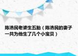 陈浩民老婆生五胎（陈浩民的妻子一共为他生了几个小宝贝）