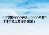 6.5寸的oppo手机（oppo所有6.5寸手机以及报价谢谢）
