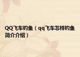 QQ飞车钓鱼（qq飞车怎样钓鱼简介介绍）