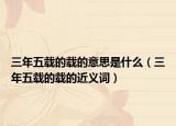 三年五载的载的意思是什么（三年五载的载的近义词）