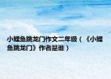 小鲤鱼跳龙门作文二年级（《小鲤鱼跳龙门》作者是谁）