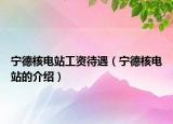 宁德核电站工资待遇（宁德核电站的介绍）