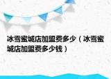 冰雪蜜城店加盟费多少（冰雪蜜城店加盟费多少钱）