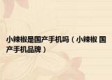 小辣椒是国产手机吗（小辣椒 国产手机品牌）