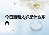 今日更新太岁是什么东西