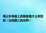 笔记本电脑上的键盘是什么类型的（比如图上的这种）
