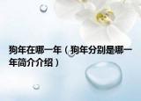 狗年在哪一年（狗年分别是哪一年简介介绍）